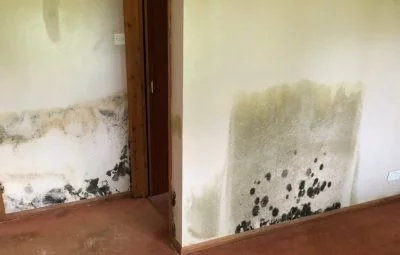penetrating damp 400x255 1